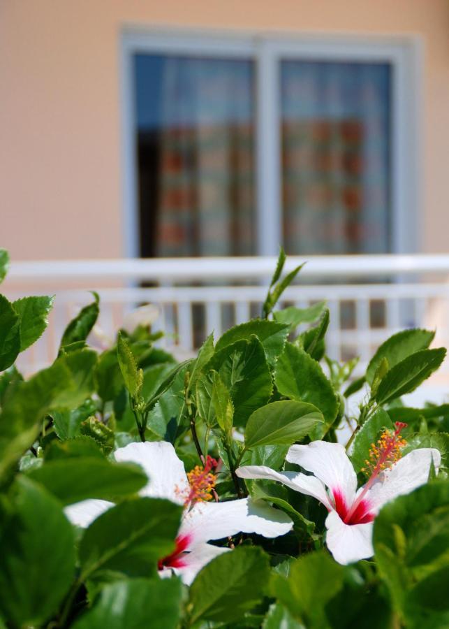 Diagoras Hotel All Inclusive Faliraki Exterior foto